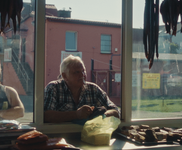 „Bałtyk” Igi Lis – zwiastun