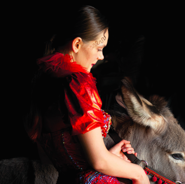 Pokazy specjalne 50. FPFF w Gdyni